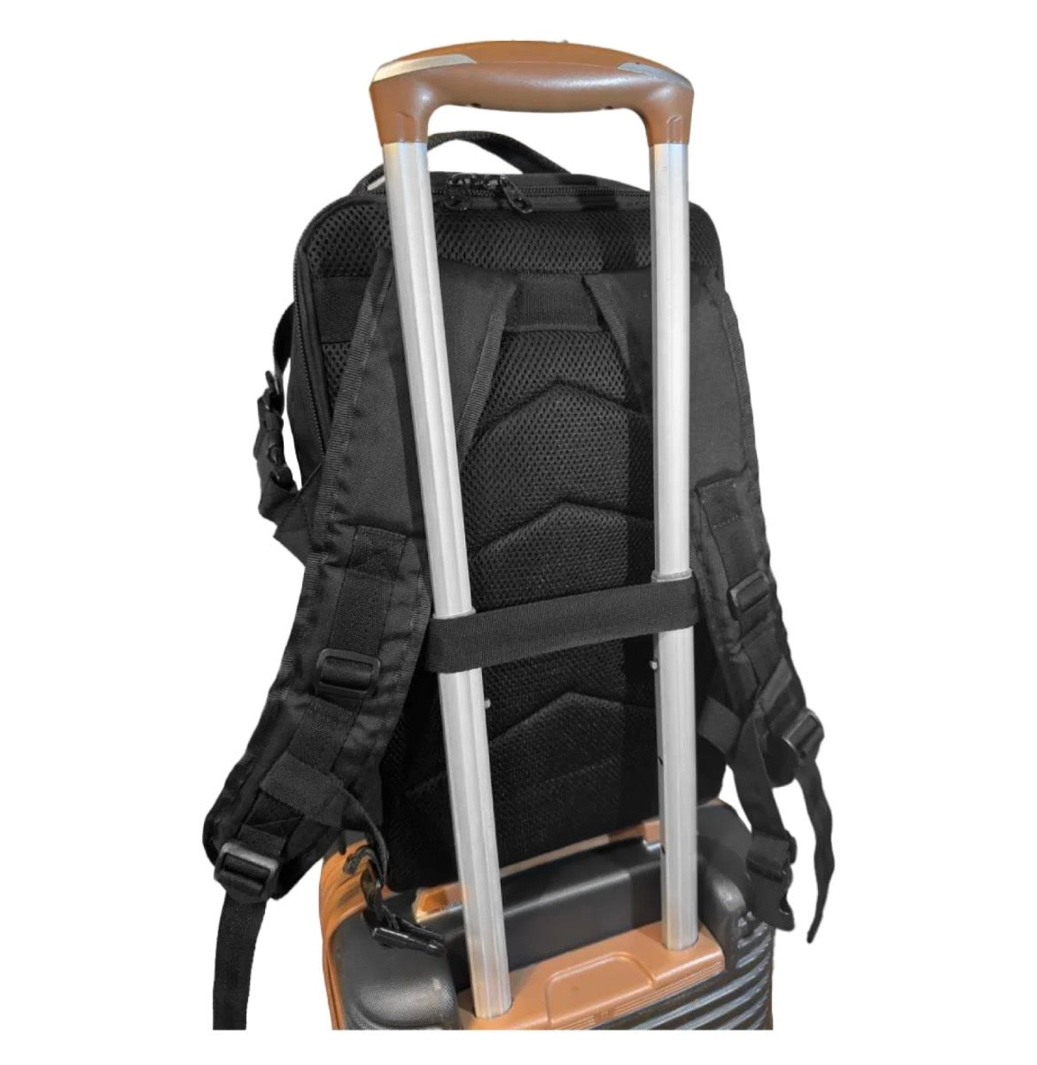 Skate Backpack